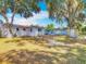 Wide backyard with a shed and ample parking, featuring mature trees and a mix of grass and sandy areas at 288 N Seneca St, Daytona Beach, FL 32114
