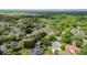 Picturesque aerial view of a lush, green neighborhood with mature trees and well-maintained homes at 343 Raleigh Pl, Oviedo, FL 32765