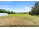 Expansive backyard featuring lush greenery and privacy fence under a clear blue sky at 5126 Rishley Run Way, Mount Dora, FL 32757