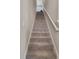 Carpeted staircase with white banister and trim at 6728 Great Bear Dr, Lakeland, FL 33805