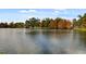 Picturesque view of a serene lake with a line of trees at 908 Tilden Oaks Trl, Winter Garden, FL 34787
