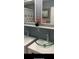 Bathroom with double sinks, decorative accents, and a shower reflected in the mirror at 16500 Quarter Horse Ct, Montverde, FL 34756