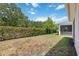Lush backyard offering a serene setting with a privacy hedge, perfect for relaxation and outdoor enjoyment at 2423 Datura Loop, St Cloud, FL 34772