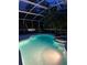 Illuminated in-ground pool and hot tub featuring a screened-in patio and backyard view at 2610 Cloudcroft Dr, Apopka, FL 32703