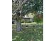 Spacious backyard featuring a mature tree adorned with ferns, providing shade and a unique botanical touch at 5811 Harcourt Ave, Orlando, FL 32839