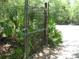 Overgrown gate surrounded by lush foliage, suggesting privacy and a natural setting at 736 Guy Rd, Orlando, FL 32828