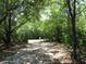 Gated driveway with mature landscaping for privacy at 736 Guy Rd, Orlando, FL 32828