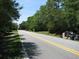 Scenic road view lined with lush greenery under a clear sky, presenting a tranquil and inviting atmosphere at 736 Guy Rd, Orlando, FL 32828