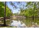 Beautiful community pool area with lounge chairs overlooking a reflective pond and lush landscaping at 14743 Driftwater Dr, Winter Garden, FL 34787