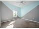 Unique bedroom with painted accent wall, carpet, and a window providing lots of natural light at 2314 Pennsylvania Ave, Oviedo, FL 32765