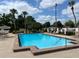 Gorgeous community pool surrounded by lush palm trees and comfortable lounge chairs at 2487 Harbour Way, Winter Park, FL 32792
