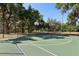 Community basketball court provides a recreational space for residents to engage in friendly games and physical activity at 34423 Alameda Dr, Sorrento, FL 32776