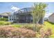 Spacious backyard with screened-in lanai, perfect for outdoor living and entertaining at 525 Narrow View Ln, Groveland, FL 34736