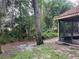 View of the backyard with mature trees and a screened lanai at 912 Augusta National Blvd, Winter Springs, FL 32708