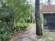 Lush backyard featuring mature trees and a screened-in porch at 912 Augusta National Blvd, Winter Springs, FL 32708