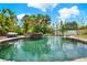 Backyard boasts a beautiful stone pool with lush landscaping and a rock feature at 955 Holly Springs Ter, Oviedo, FL 32765