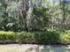 Lush greenery and mature trees create a tranquil landscape at 5114 Hawkstone Dr, Sanford, FL 32771
