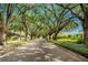 Street view featuring a tree canopy, landscaping, and serene atmosphere at 1129 Golfside Dr, Winter Park, FL 32792