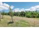 Expansive backyard with trees, perfect for outdoor activities, offering a natural backdrop at 16391 Bird Of Paradise Ave, Clermont, FL 34714