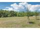 A vast, grassy backyard features young trees under a sunny sky with scattered clouds at 16399 Bird Of Paradise Ave, Clermont, FL 34714