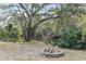 A view of the canal and natural foliage from the backyard fire pit at 2028 Sussex Rd, Winter Park, FL 32792