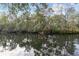 Scenic view of a serene pond reflecting the surrounding lush greenery and trees at 2028 Sussex Rd, Winter Park, FL 32792