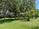 Spacious backyard with lush green grass and mature trees, offering privacy and natural beauty at 24125 Peekskill St, Leesburg, FL 34748