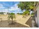 Landscaped backyard featuring mature palm trees and well-maintained pebble ground cover for easy care at 367 Par Pines Blvd, Davenport, FL 33837