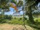 Backyard featuring mature landscaping with a water view at 5160 Conroy Rd # 1423, Orlando, FL 32811