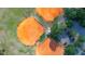 Aerial view of a baseball field with orange clay surrounded by green trees and a parking lot in a community at 694 Tuscora Dr, Winter Springs, FL 32708