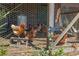 Enclosed chicken coop with chickens at 20 Lido Rd, Winter Springs, FL 32708