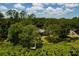 Aerial view of a property with mature trees and a dock on a lake at 3359 Scarlet Dr, Sanford, FL 32773