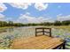 Wooden dock overlooking the lily pad covered lake on a sunny day with blue skies at 3359 Scarlet Dr, Sanford, FL 32773