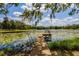 Scenic pond view from a wooden dock, surrounded by lily pads and lush greenery at 3359 Scarlet Dr, Sanford, FL 32773