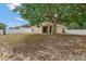 Backyard featuring a large shade tree with a swing at 709 Strihal Loop, Oakland, FL 34787