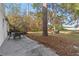 Spacious backyard featuring a patio set, large trees, and a grill with a picnic table in the background at 7470 Lake Marsha Dr, Orlando, FL 32819