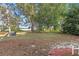 View of a lush backyard featuring a grill, a picnic table, and a lake in the background at 7470 Lake Marsha Dr, Orlando, FL 32819