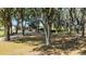Scenic view of a property with mature trees providing ample shade and natural beauty at 8218 Pine Island Rd, Clermont, FL 34711