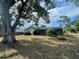 Expansive backyard featuring mature tree and screened-in porch perfect for outdoor entertaining and relaxation at 1001 Arden St, Longwood, FL 32750