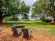 Spacious backyard with mature trees, playground, and plenty of room to relax at 11335 Winston Willow Ct, Windermere, FL 34786