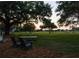 Huge backyard with mature trees, green grass, trampoline, and play equipment perfect for outdoor activities at 11335 Winston Willow Ct, Windermere, FL 34786