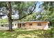 Home's exterior view, framed by a large tree and showing front yard at 17 W Nightingale St, Apopka, FL 32712