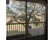 Balcony view features natural light, screened in area, and a lush tree at 495 Las Cortes Ln # 206, Orlando, FL 32824