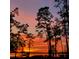 A picturesque sunset view with silhouetted trees against vibrant hues of orange, red, and purple in the sky at 12454 S Lake Mary Jane Rd, Orlando, FL 32832