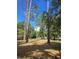 Shady yard with mature trees, creating a peaceful and inviting outdoor space at 12454 S Lake Mary Jane Rd, Orlando, FL 32832