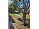 A view of the well-maintained condo grounds with mature trees, green spaces, seating, and building views at 131 Water Front Way # 200, Altamonte Springs, FL 32701
