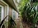 Side view of the home featuring access through glass paneled doors and lush greenery at 1399 Aloma Ave, Winter Park, FL 32789
