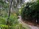 Landscaped garden path leading to home, surrounded by lush greenery and mature trees at 1399 Aloma Ave, Winter Park, FL 32789
