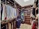 Walk-in closet featuring custom shelves and racks at 14025 Hench Ln, Orlando, FL 32827