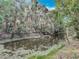 Creek with surrounding trees and a serene view at 185 Poinciana Ln, Deltona, FL 32738